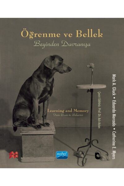 Nobel Öğrenme Ve Bellek - Aslı Aslan