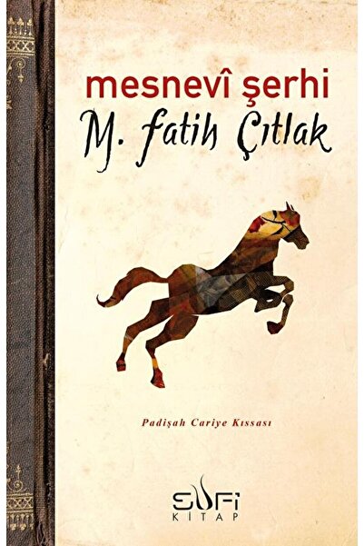 Sufi Kitap Mesnevi Şerhi / M. Fatih Çıtlak / / 9789759161569