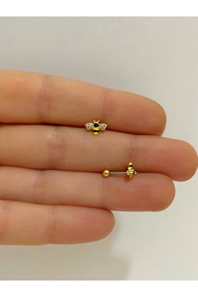 Arescollection cerrahi çelik arı tragus helix kıkırdak kulak memesi uyumlu pi...