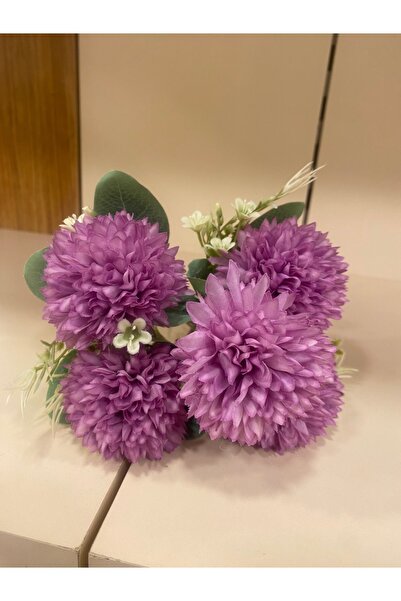 PLUS HOME زهرة الأوسكار ميني بون بون ليلا