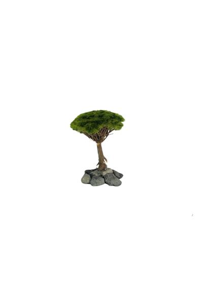 Marimo Scape Ağaç Figürü Moss Sarılı 's'
