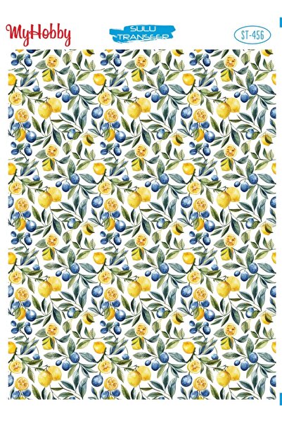 MyHobby Water Transfer Paper St-456 25X35 cm