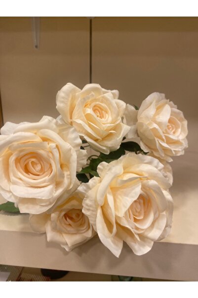 PLUS HOME باقة الورد كريم متعدد