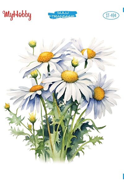 MyHobby Sulu Transfer Kağıdı St-494 25x35 Cm