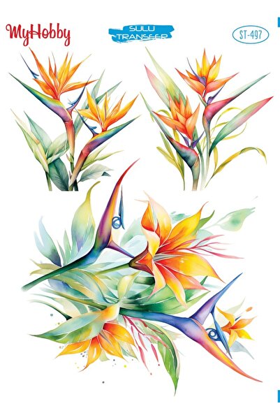 MyHobby ورق نقل مائي مقاس 25 × 35 سم St-497