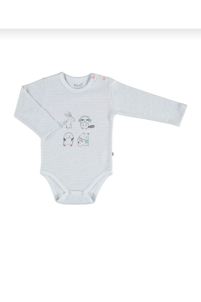 Biorganic مخطط بادي