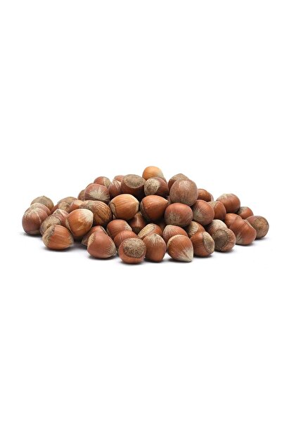 Çitçubuk Kabuklu Fındık -Giresun Kalite - 1 Kg