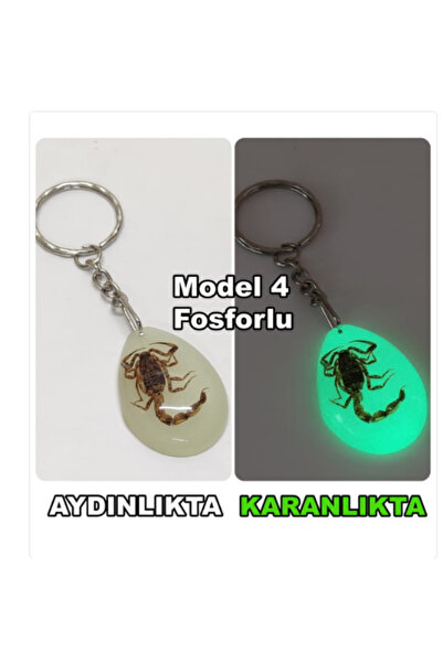 Tahtakale Dünyası أحفوري العقرب الحقيقي - سلسلة مفاتيح ومفتاح عقرب هدية