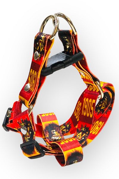 Angelapets Walking Strap Set - Dog and Chest Leash