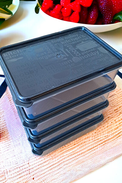 SWENCRAFT Set of 4 Gray Food Storage Container - Pp 5 Box That Can Enter Microwave, Deep Freezer, 1.7 Lt