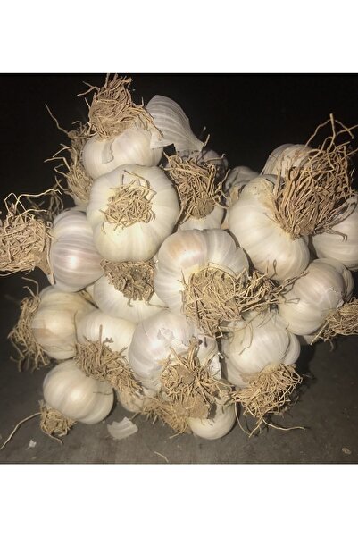 Özsoy Kastamonu Taşköprü Sarımsağı 1kg Orta Boy 2024