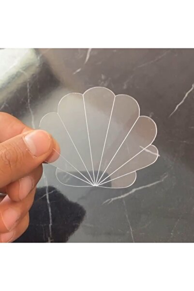 doğrukan 25 Adet Şeffaf Istiridye Midye Pleksi Süslemelere Magnet Yapımına Uy...