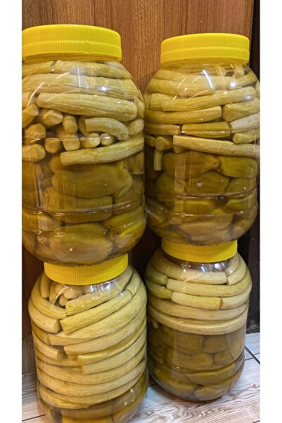 Üçler aktariye Antep Ev Yapımı Turşu Karışık