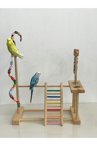 lata ahşap Bird Entertainment Track - Budgie, Paradise, Sultan, Sevda and Forpus Parrot