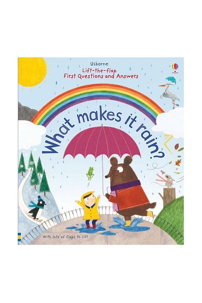 Usborne Lift the Flap First Questions and Answers What Makes It Rain? (Hardcover)