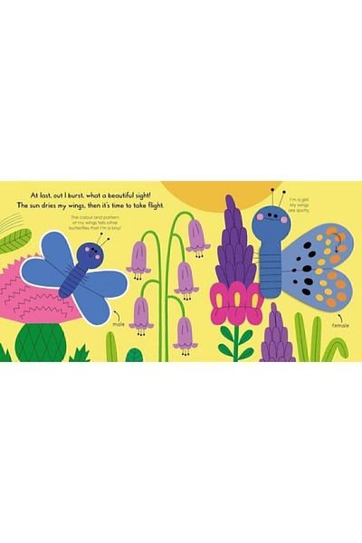 Pan Macmillan Butterfly (my Little Green World)