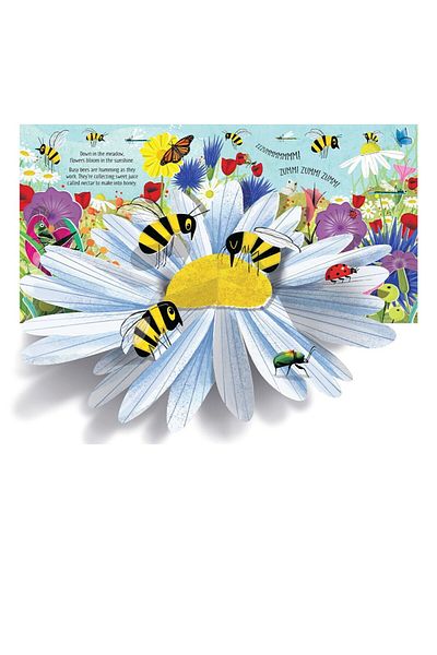 Usborne Pop-Up Natural for Ladies