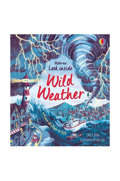 Usborne Look Inside Wild Weather