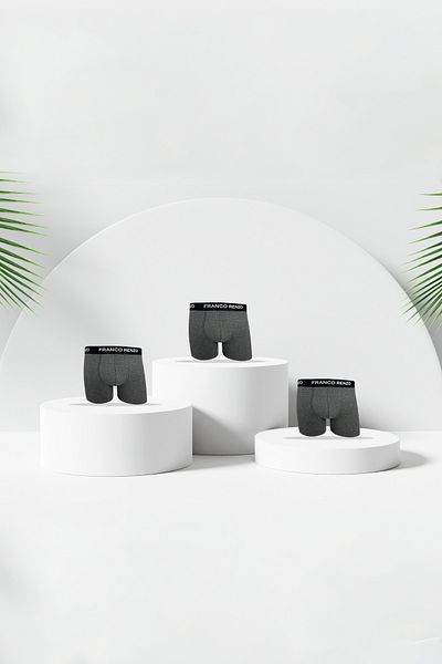 FRANCO RENZO Men's 3-Piece Premium Box Lycra Boxers