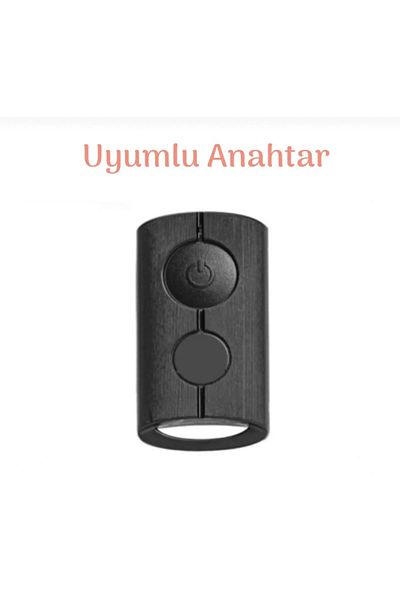 emii auto spare parts 2020-2024 Ye/E up to Nmax Compatible Key Case - Gray/Gold
