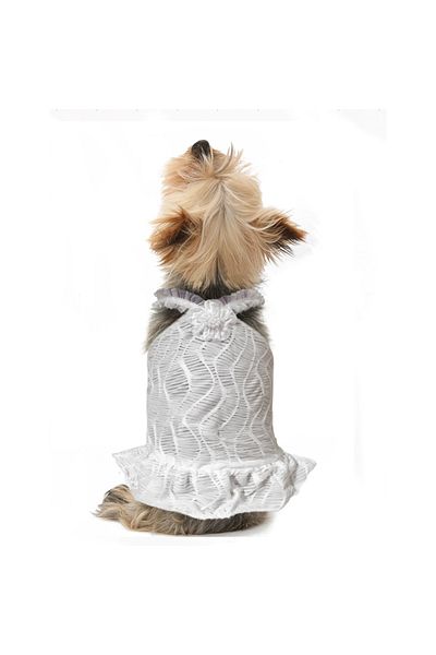 Alphadog Design Wedding Dress - Bride Pet Model