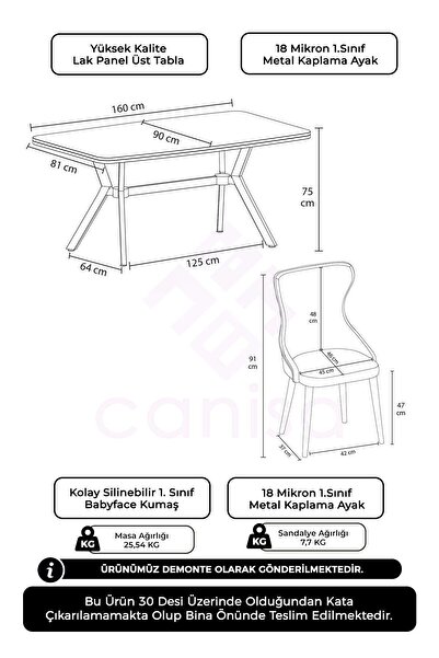 Canisa Esla Serisi 90x160 Lak Panel Antrasit İroni Krom Kaplama Ayaklı Masa Takımı ve 6 Siyah Sandalye