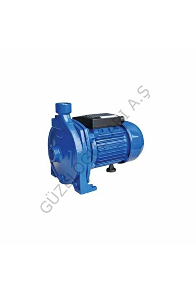 NORTEK POMPA çift kademeli bronz fanlı pompa (skp300 M)