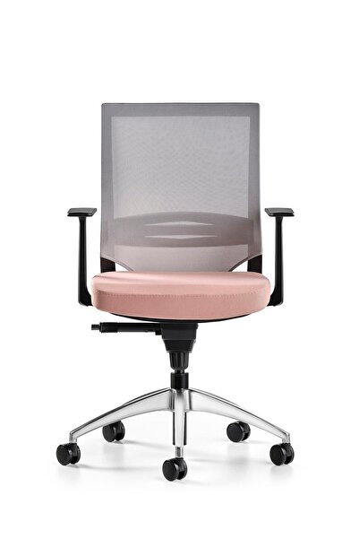 Bürotime Cozy Çalışma Koltuğu Gri/somon - Sabit T Kol - Alüminyum Ayak