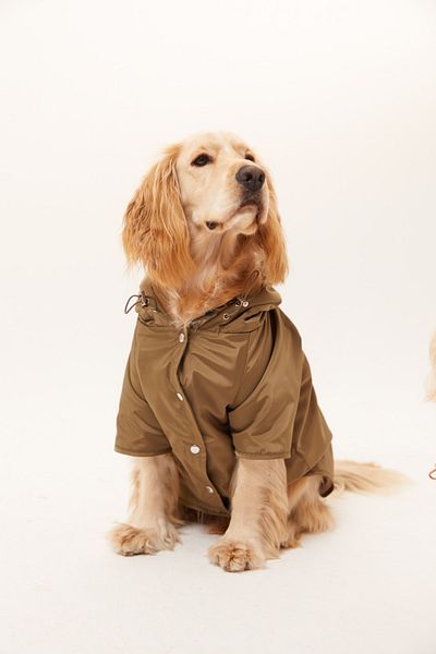 Lorico Hooded Waterproof Raincoat with Snap Fastener on the Front (Small and Large Breed Dog Coat)