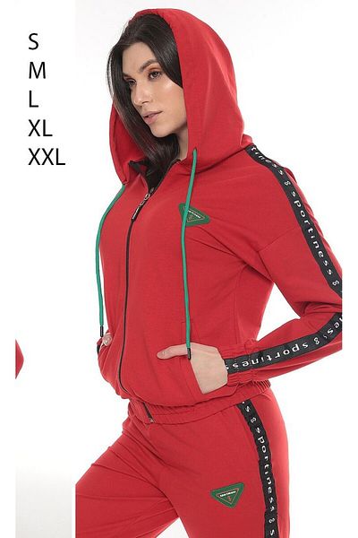 sportiness Hooded Zippered Stripe Detailed Women's Tracksuit Set - Two Thread