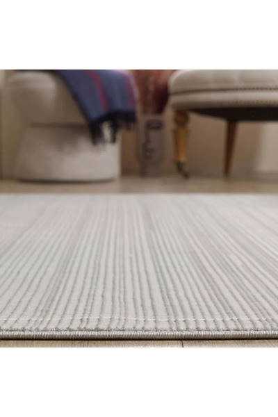 Empera London Anemoss Kaymaz Taban Tozumaz Antialerjik Halı - Gri - 120x180 cm