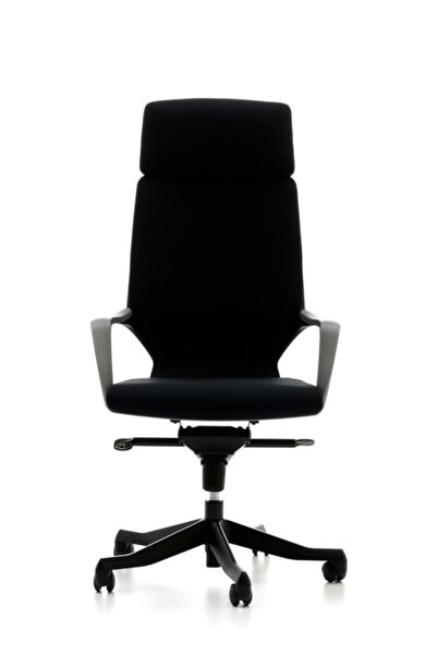 Bürotime Swan Yönetici Koltuğu Oturum Siyah