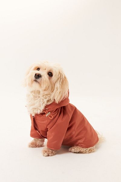 Lorico Hooded Waterproof Raincoat with Snap Fastener on the Front (Small and Large Breed Dog Coat)