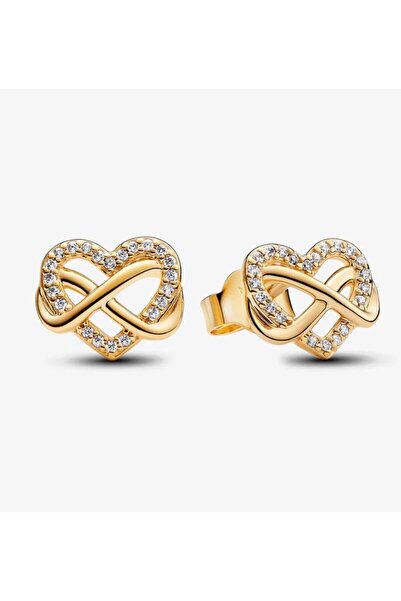 Lines Bijuteri Işıltılı Sonsuz Kalp Çivi Küpeler