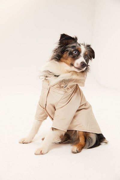 Lorico Hooded Waterproof Raincoat with Snap Fastener on the Front (Small and Large Breed Dog Coat)