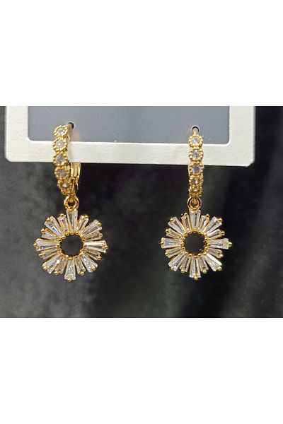 DNA Takı Figured Snowflake - Steel Dangle Earrings