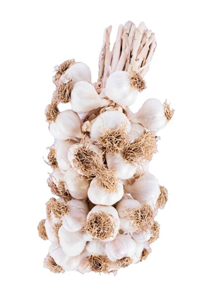 sarımsak Taşköprü Sarımsağı/kastamonu -tescilli-coğrafi Işaretli-orijinal Küçük Boy -1 Kg. Fiyat