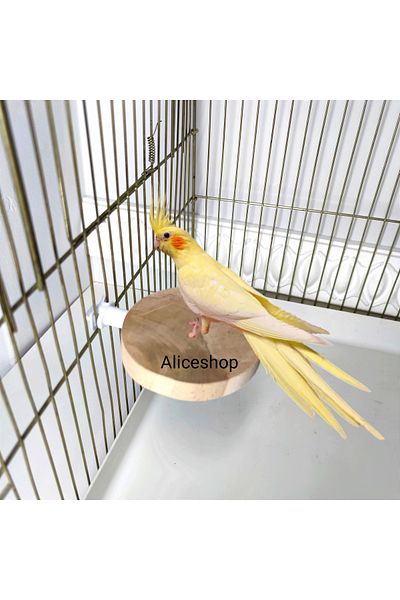 aliceshop Natural Wooden Perch - Stylish and Useful