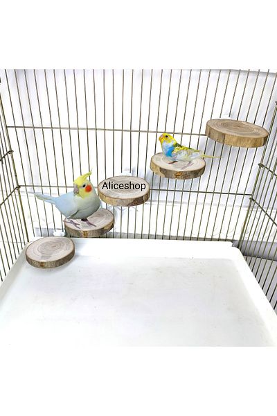 aliceshop 5 Natural Wooden Perches - Plastic Head Easy Assembly