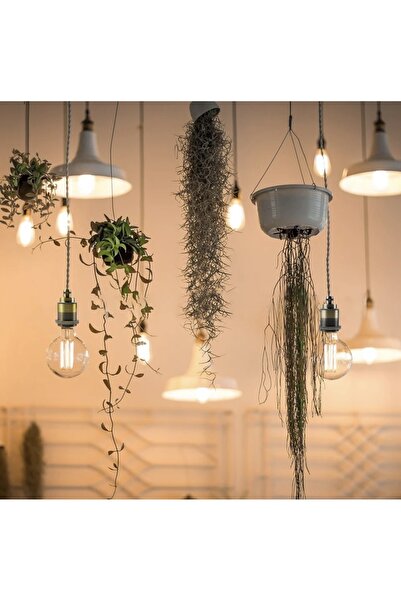 ETAB Jüt Halat Sarkıt Avize Anahtarlı Duy 3mt Altın Rengi (AMPUL DAHİL DEĞİLDİR)