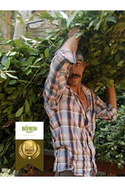 ÇİFTÇİDEN ORGANİK MARKET Bıofresh Organıcs %50 Zeytinyağlı %50 Defne-gar Yağlı Defne Sabunu 1 Kg 7-8 Adet