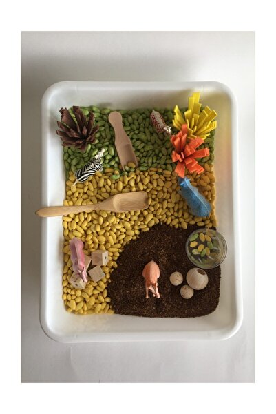 Beyaz Tavşan Oyun Evi Safari Temalı Duyusal Oyunlar Seti - Montessori Oyuncak