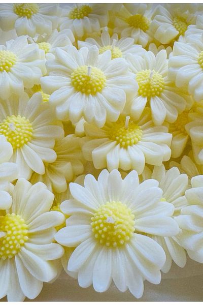 Sude Design 15 Pieces Daisy Model Candle Gift - Wedding, Promise, Engagement Gift