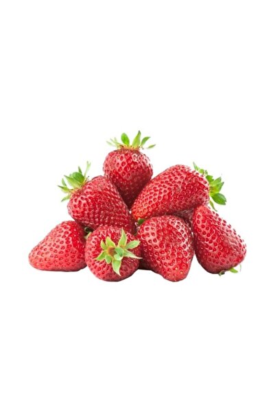 Sebze Meyve Dünyası Çilek (500 Gr)
