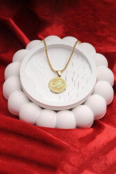 Lunas Bijuteri Güç ve Koruma Sembolü: Paslanmaz Çelik Akrep Figürlü Kolye