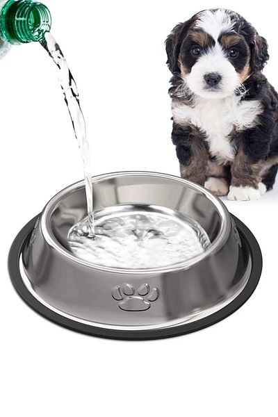 EnPet 1 Piece 18cm Stainless Steel Metal Pet Cat Dog Food And Water Bowl Food Bowl