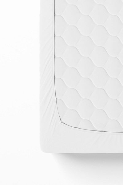 Anemons Single Combed Cotton Elastic Sheet - White