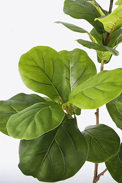 Yapay Çiçek Deposu Yapay Ağac Keman Bitkisi 3 Dallı 135 cm (Saksısız)