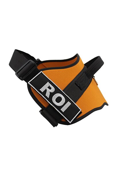 MgTasma Kişiye Özel, Isimli K9 Köpek Tasması, Göğüs Ve Boyun Tasma Seti