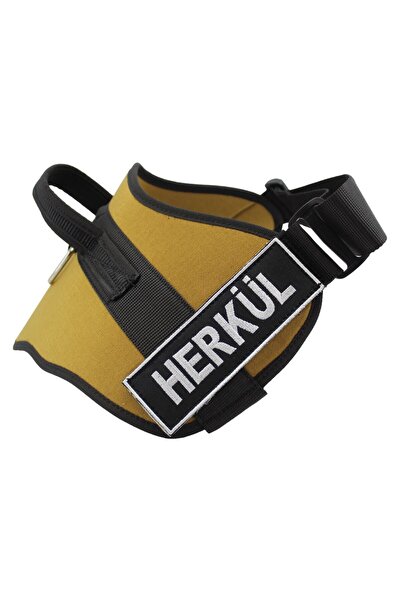 MgTasma Kişiye Özel, Isimli K9 Köpek Tasması, Göğüs Ve Boyun Tasma Seti